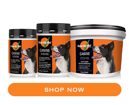 Rose-Hip Vital® Canine Shop Now