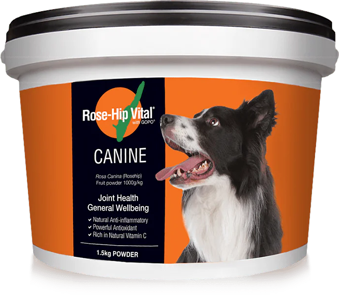Dog Joint Health, Osteoarthritis Pain Relief - Rose-Hip Vital® Canine ...