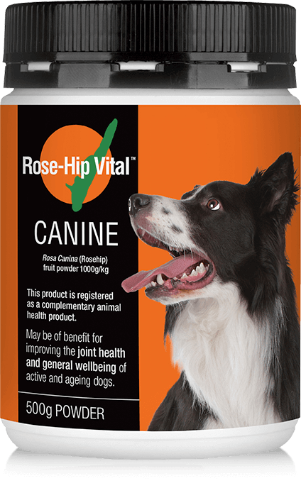 Rose-Hip Vital® Canine Powder 500g