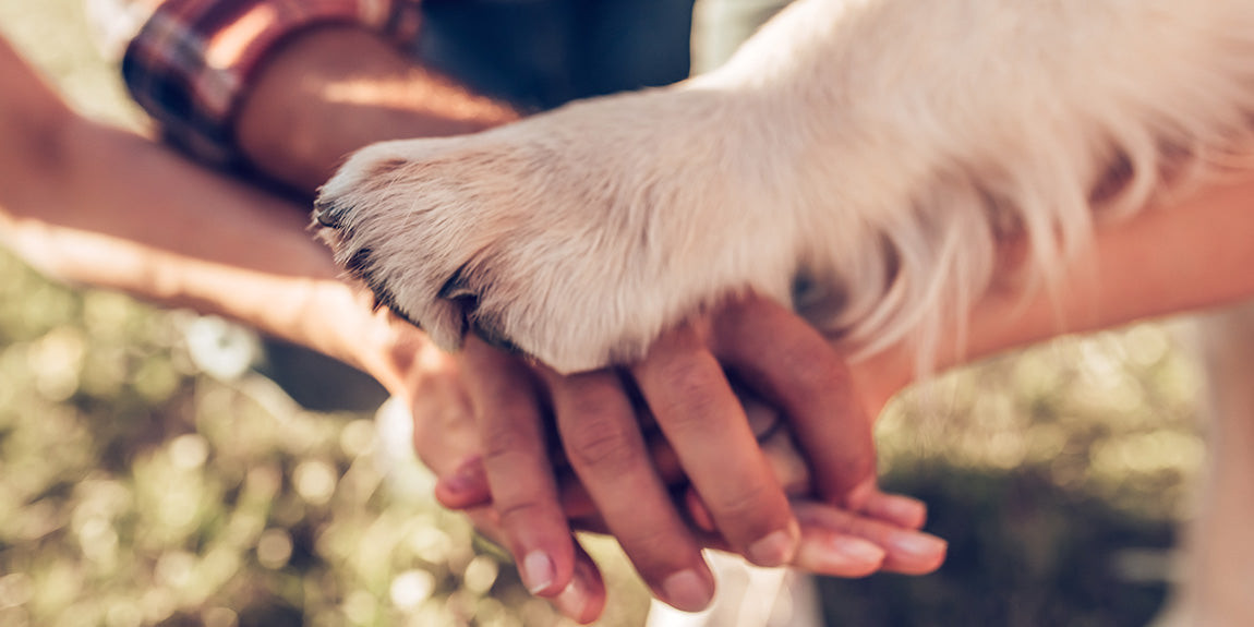 Dogs and Humans Can Share Rose-Hip Vital® Canine