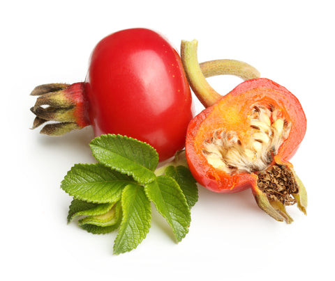 Inside a Rosehip berry