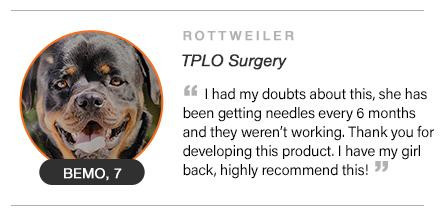 Bemo TPLO Surgery Testimonial