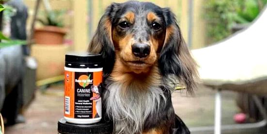 What size bottle of Rose-Hip Vital® Canine should I get for my dog?