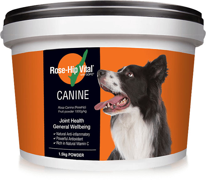 Rose-Hip Vital® Canine Powder 1.5kg Bucket